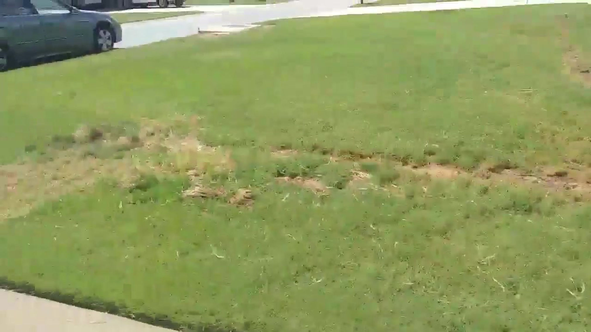 Landscaping